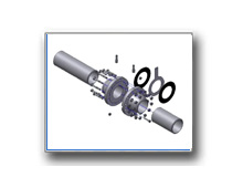 Plants: image 1 0f 4 thumb